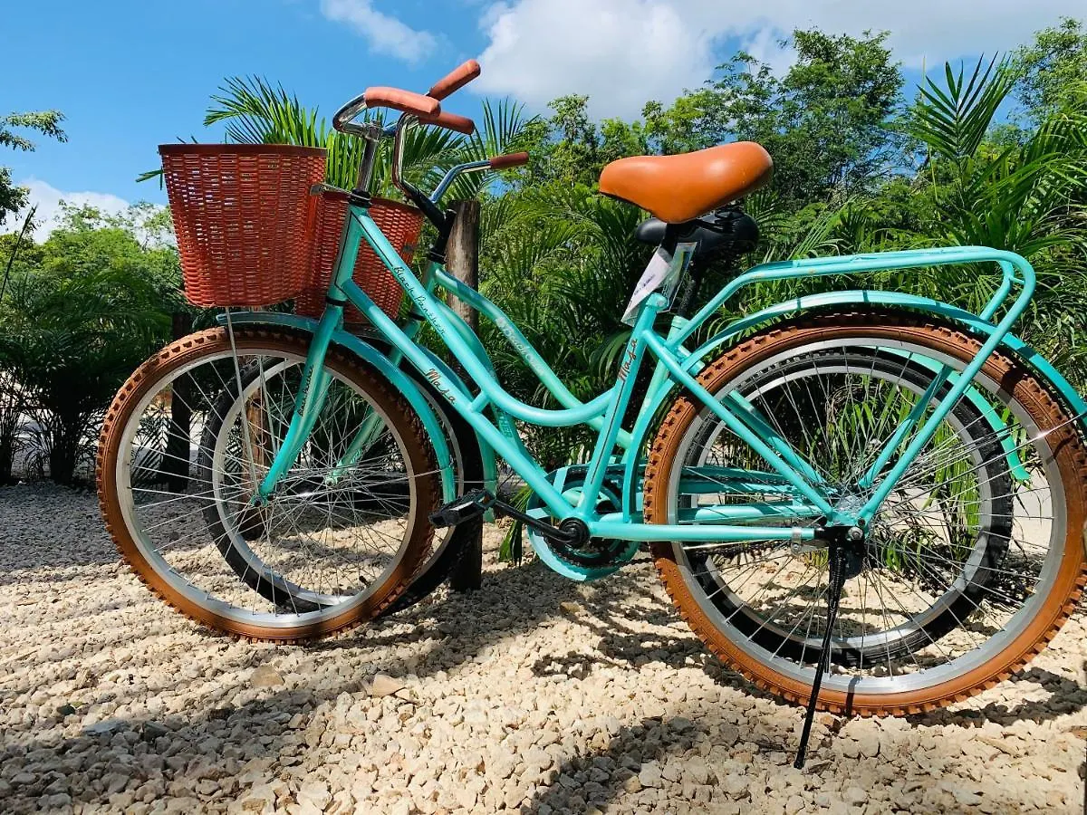 Vida Jungle Boho Apart 14 With Special Fee To Access Hotel Bardo Tulum