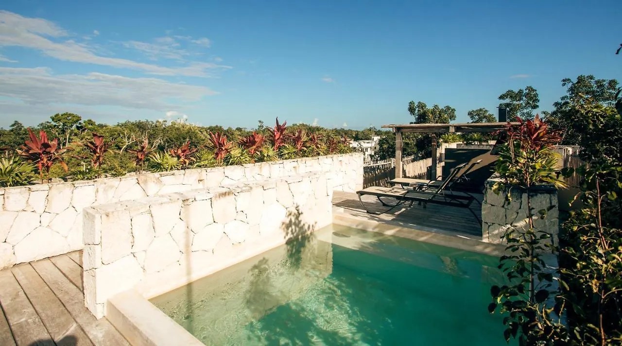 Vida Jungle Boho Apart 14 With Special Fee To Access Hotel Bardo トゥルム メキシコ