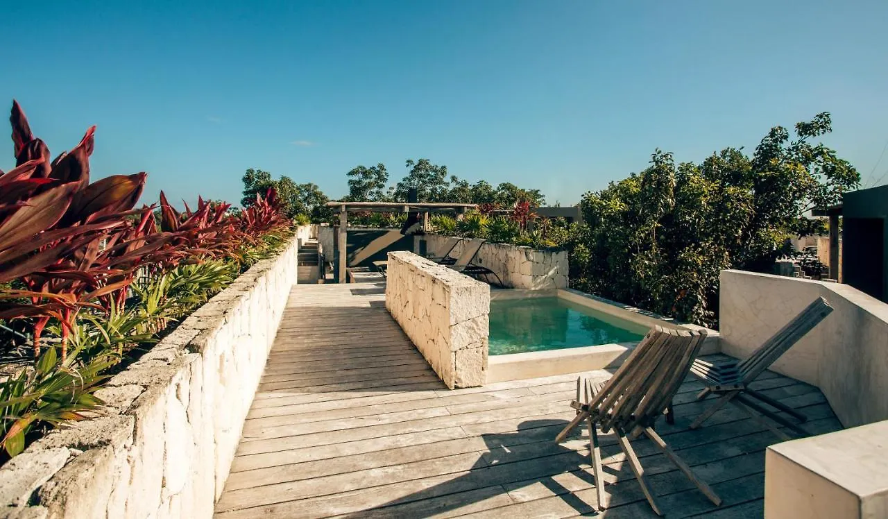 Vida Jungle Boho Apart 14 With Special Fee To Access Hotel Bardo トゥルム