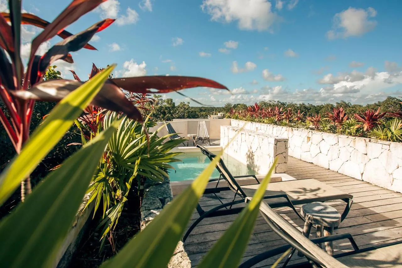 Vida Jungle Boho Apart 14 With Special Fee To Access Hotel Bardo トゥルム 0*,